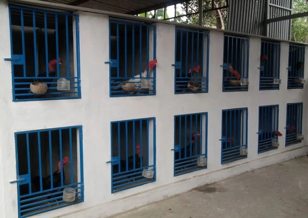 Cách làm chuồng đổ gà đá