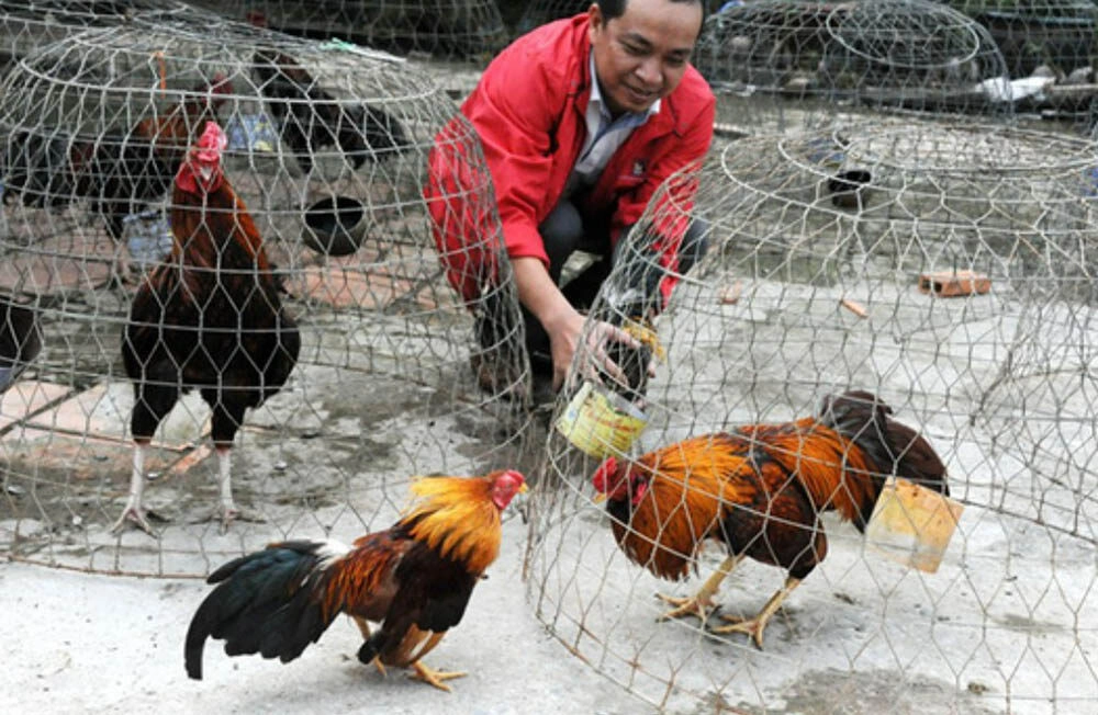 Một vài yếu tố ảnh hưởng trong quá trình tới pin